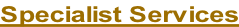 Specialist Services