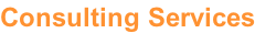 Consulting Services